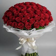 Букет 101 Красная роза Блэк Мэджик в Заворонежском