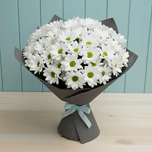 Букет цветов из:  Хризантемы #REPLACE_PRED# Заворонежском