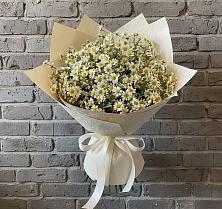 Букет цветов из:  Ромашки #REPLACE_PRED# Заворонежском