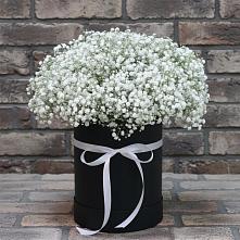 Цветочная композиция из Гипсофила в шляпной коробке в Заворонежском