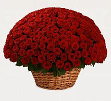 Премиум букет из: Розы в Заворонежском